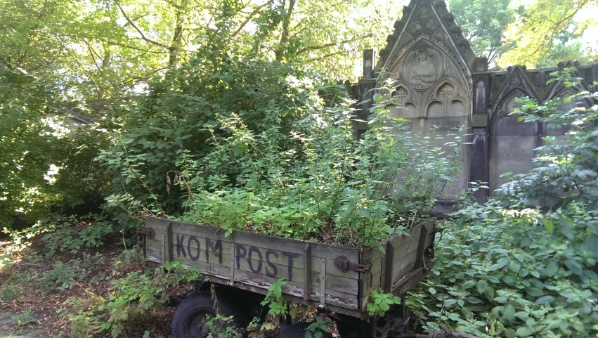 an old wooden trailer holding weeds and flowers near some bushes