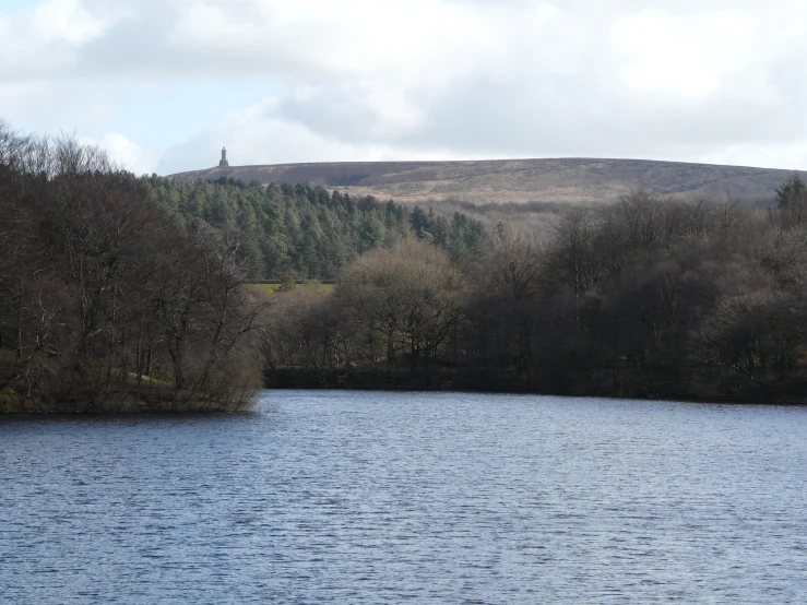 a scenic view of trees and water, with mountains in the background