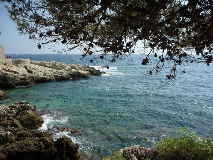 the coast and the cliff are dotted with vegetation