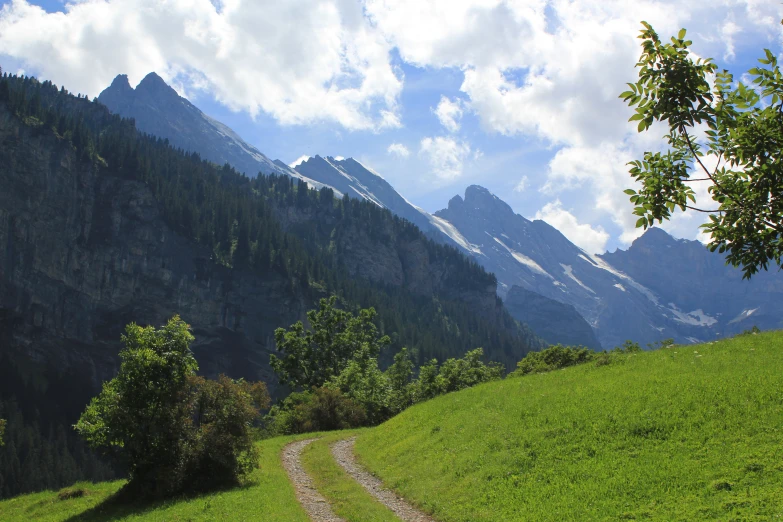 a trail leads to the top of a grassy hill