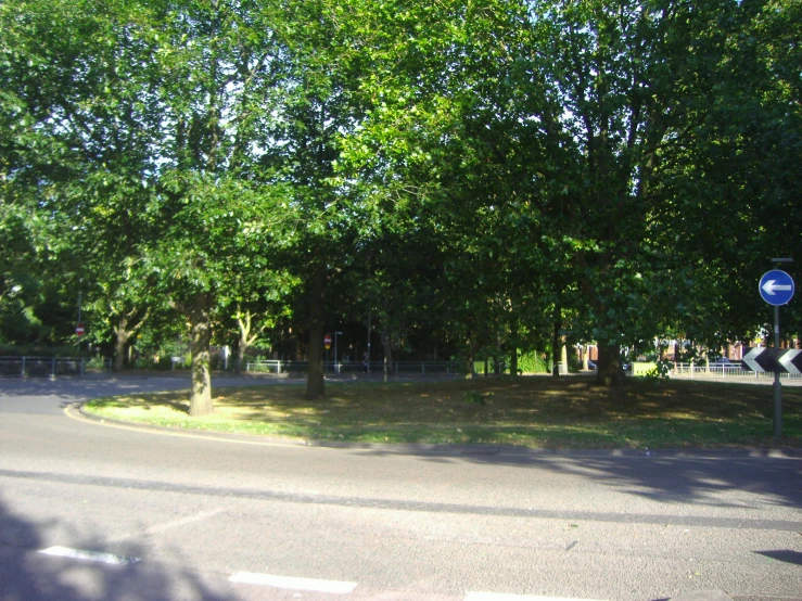 this is a park with trees and street signs