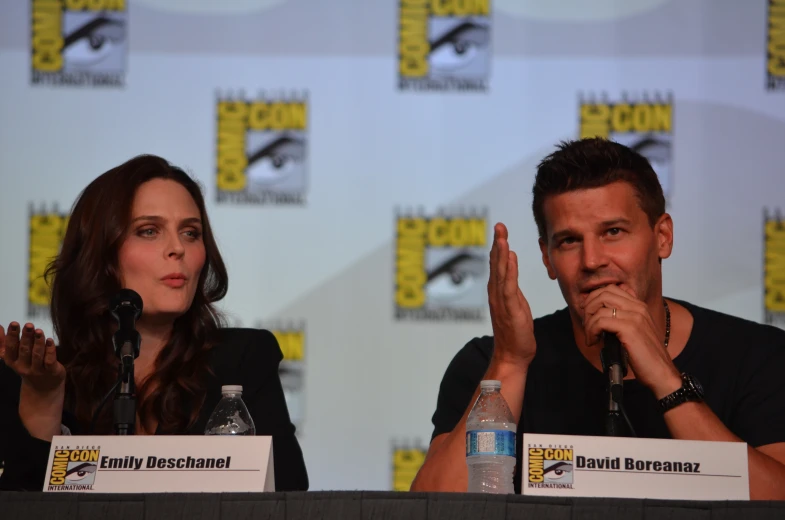 two actors sit at a panel in front of microphones