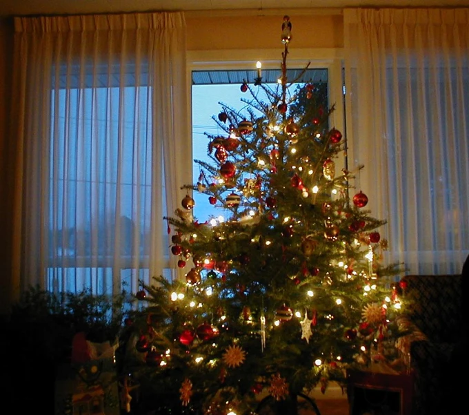 a christmas tree with lights in a living room