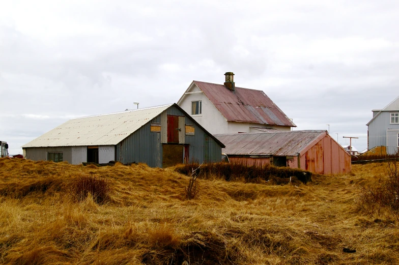 two barns in a grassy field with an old tin roof