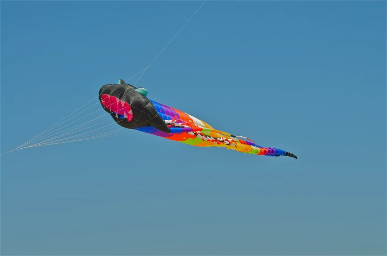 the giant kite in the sky is decorated with flowers and is tied to strings