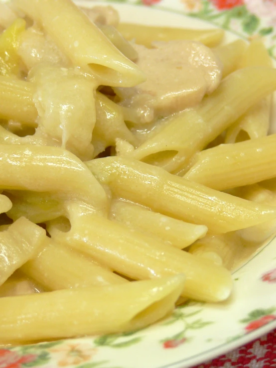 this is a closeup of pasta with a chicken sauce