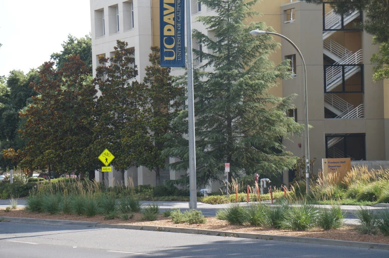 a street corner that has trees on the other side and a sign on a pole in the front