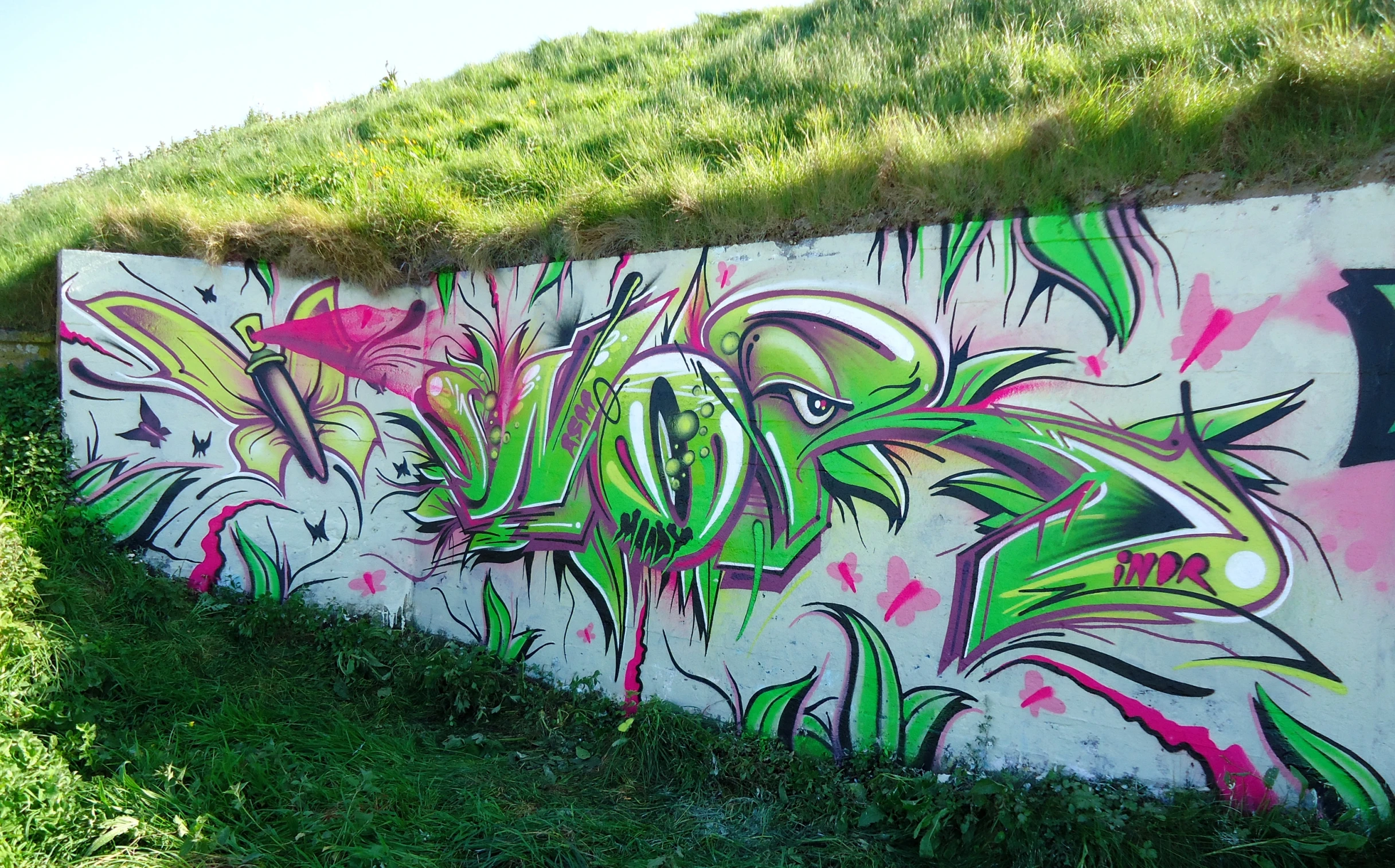 green, pink and purple graffiti is drawn on the wall