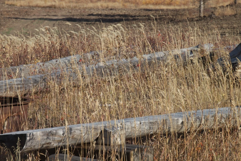 wooden rail with rusty fence and vegetation next to it