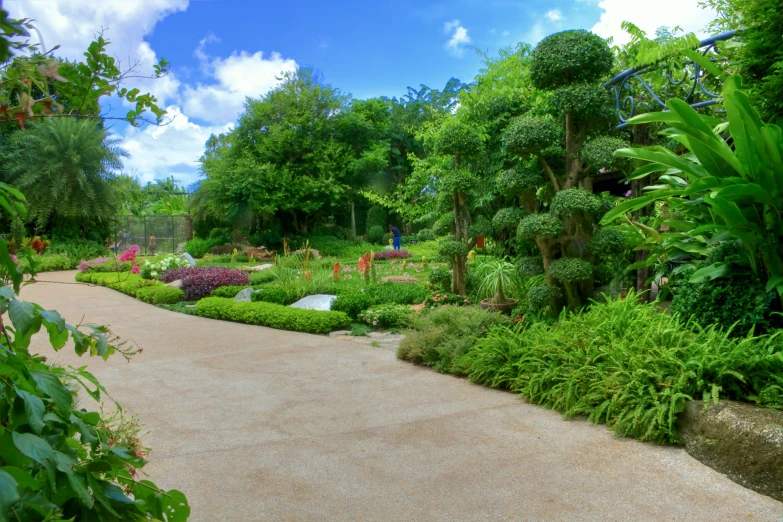 a walkway lined with lush green trees and plants