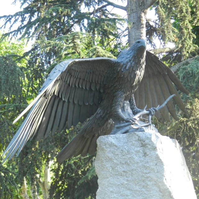 a large black bird perched on top of a white rock