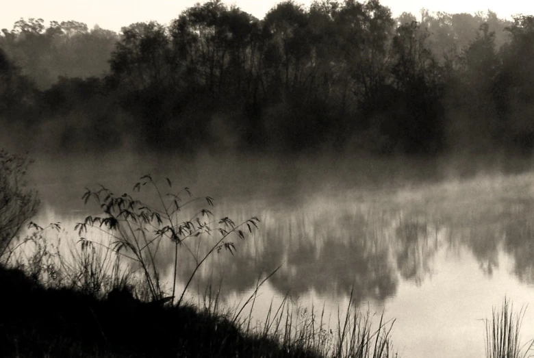 the black and white image shows a small pond surrounded by trees