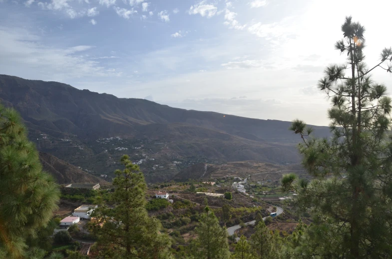 mountain view with trees and sky in foreground