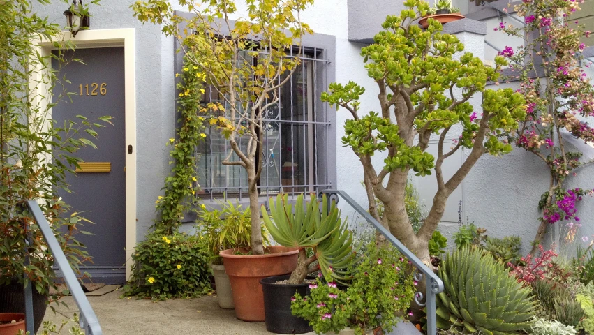 a garden is lined with small cactus and potted plants