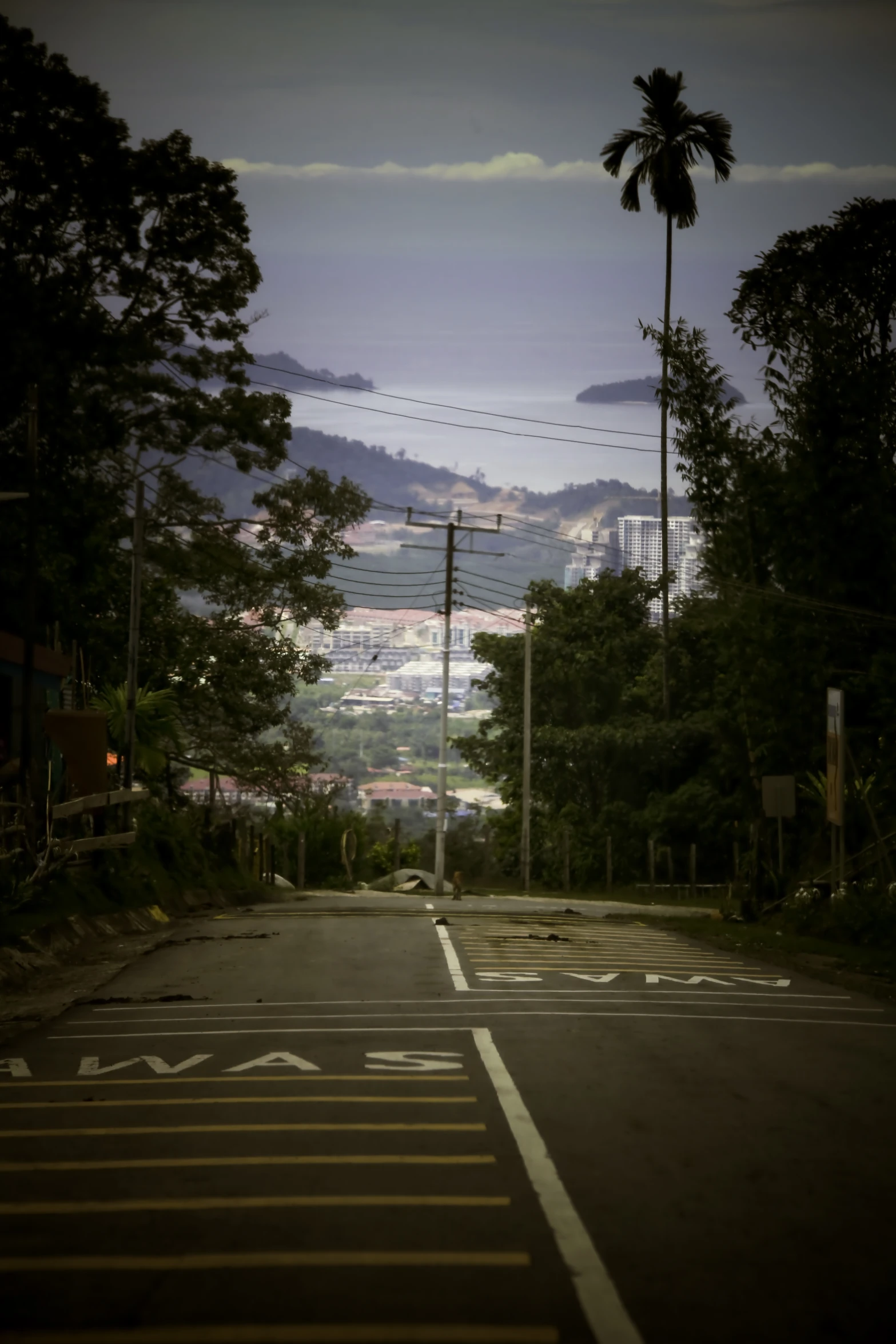 a city road is shown with power lines above the tree line