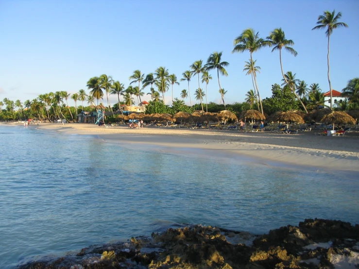 a view of a beach with a water front and palm trees