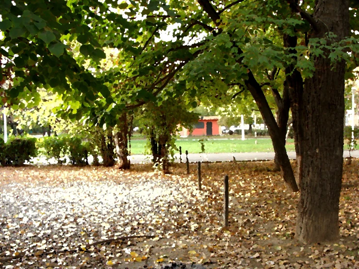 a park with leaves and trees in the foreground