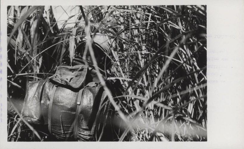 an old style fire hydrant sitting among the tall grass