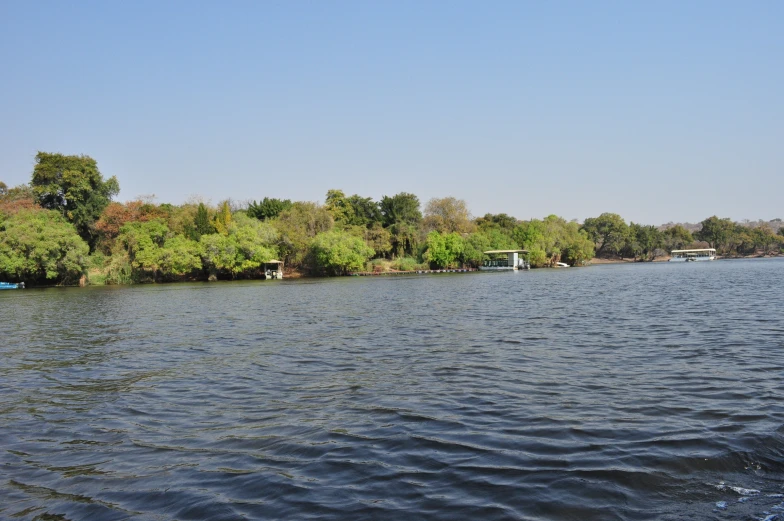 a group of trees that are by the water