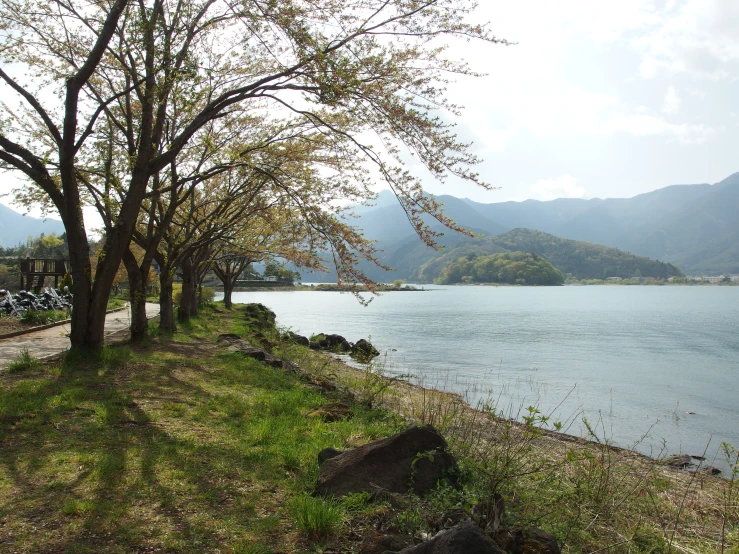 a lake with two benches next to trees