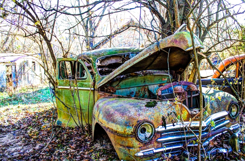 some rusted cars sitting in the middle of trees