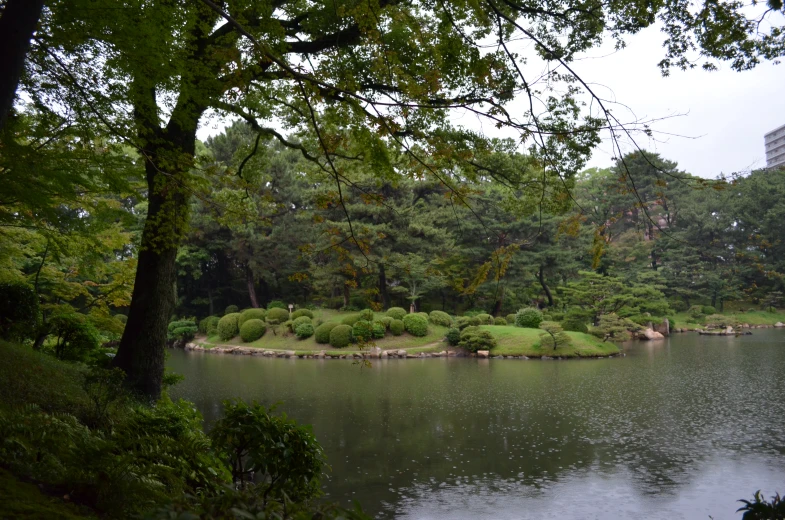 a lake in the middle of a park with lots of trees