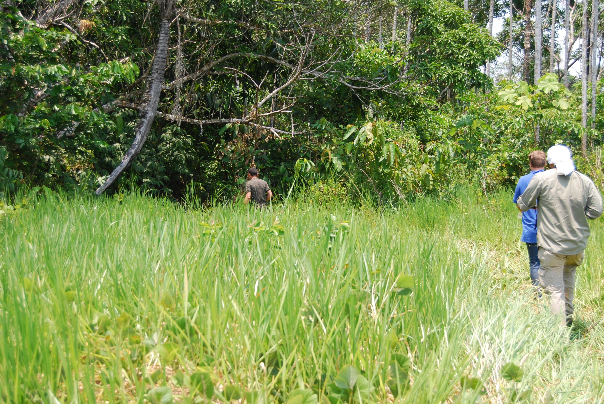 two people walking through the grass in front of some trees