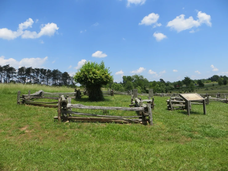 a grassy field with trees in the background