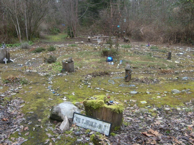 the grave markers on the ground are full of rocks and moss