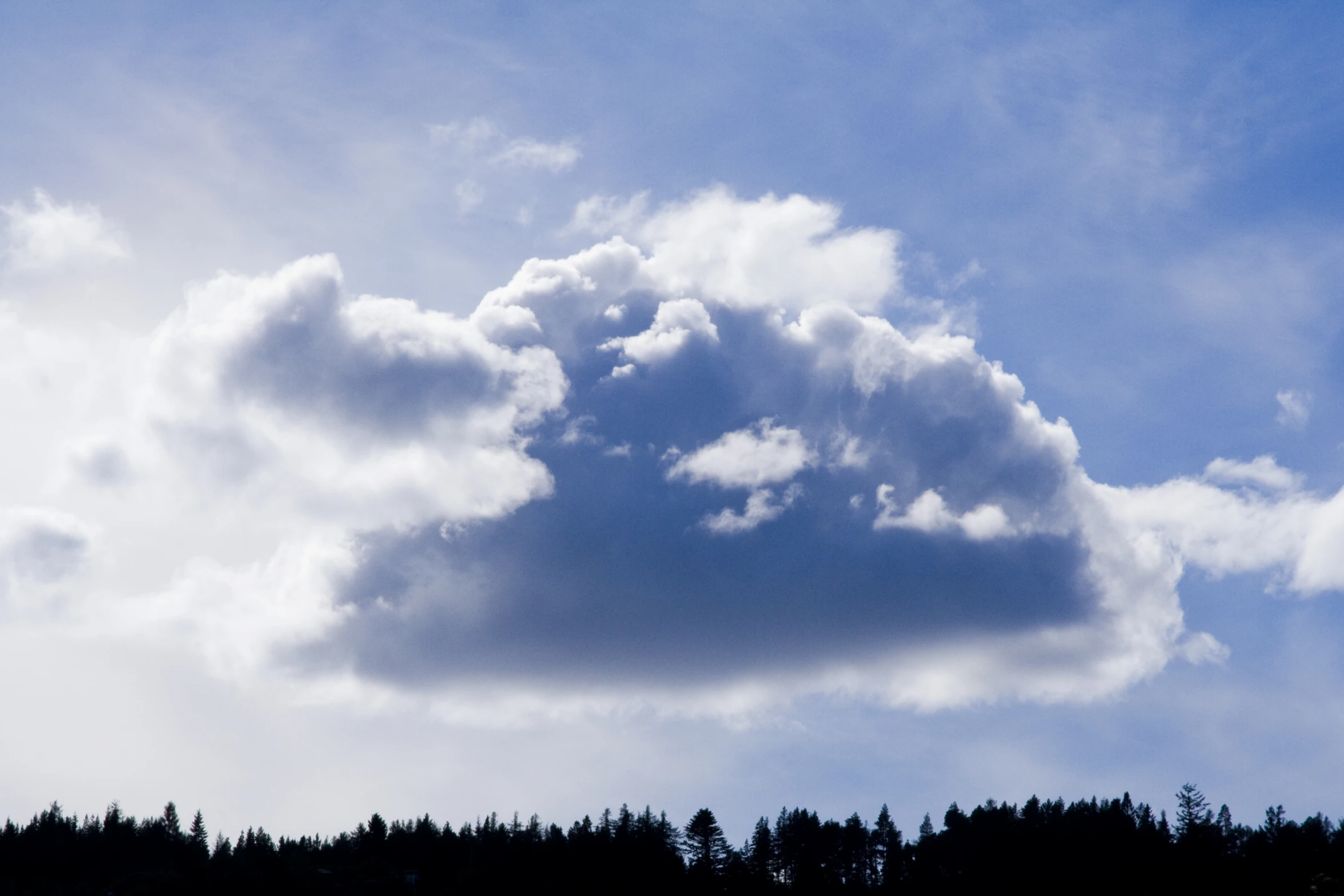 a huge cloud in the sky above some trees