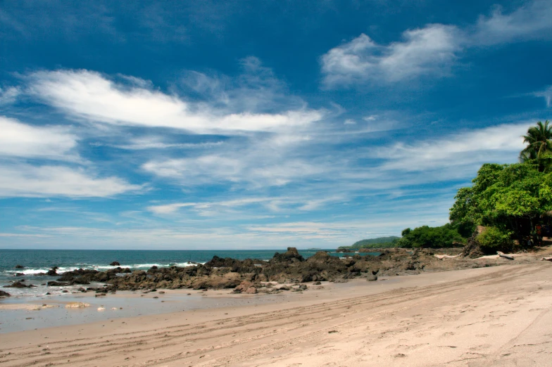 a dirt road by the beach with trees and water