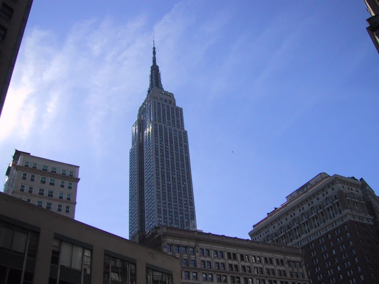 a skyscr sits in the middle of the city with a bird flying past