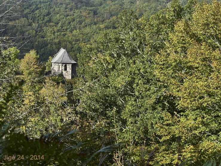 a tower in the middle of some trees