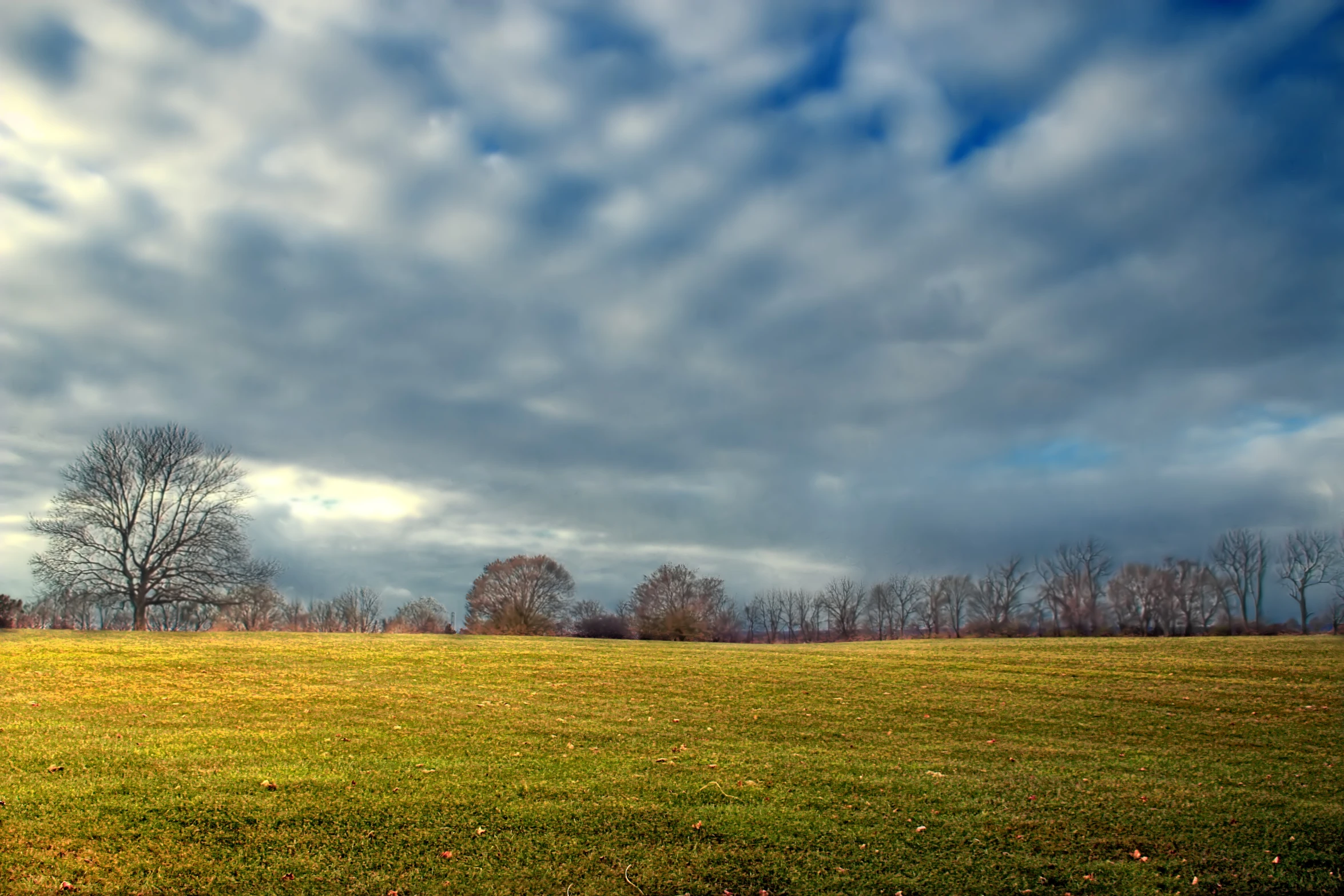 a field with a single tree under cloudy skies