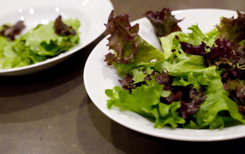 two white plates filled with lettuce on a table