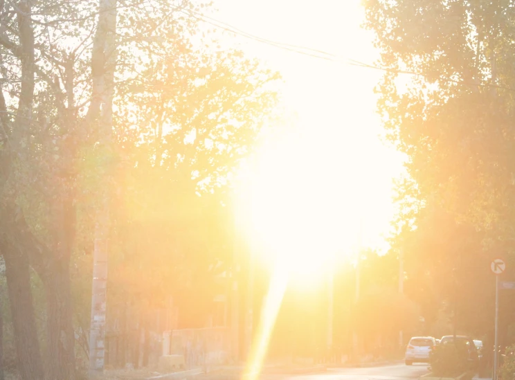 a road with a car and stop light and trees