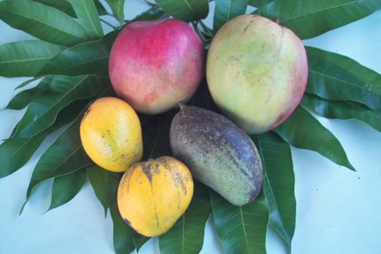 a variety of fruit sitting on top of leaves