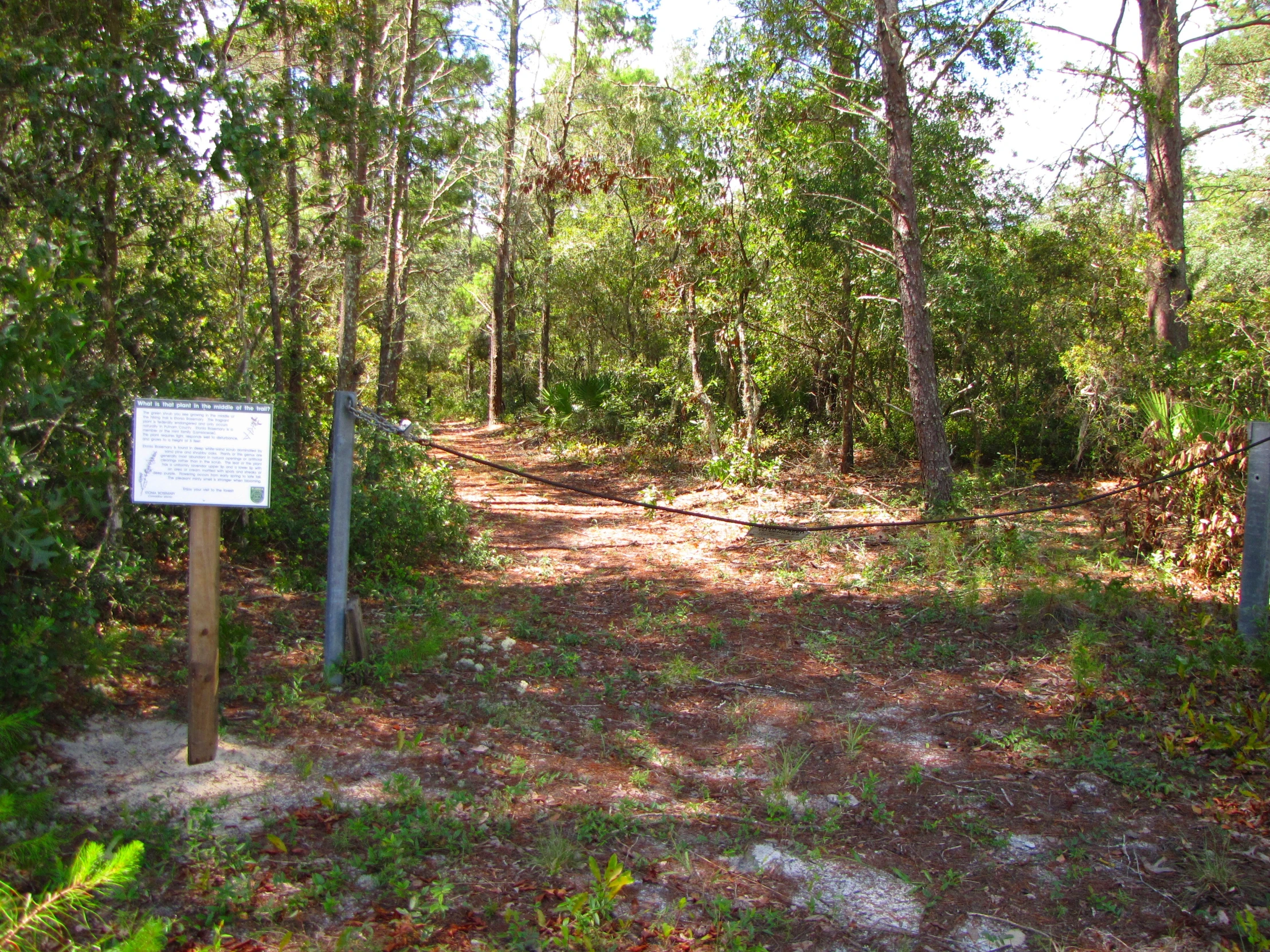 a trail that is surrounded by trees