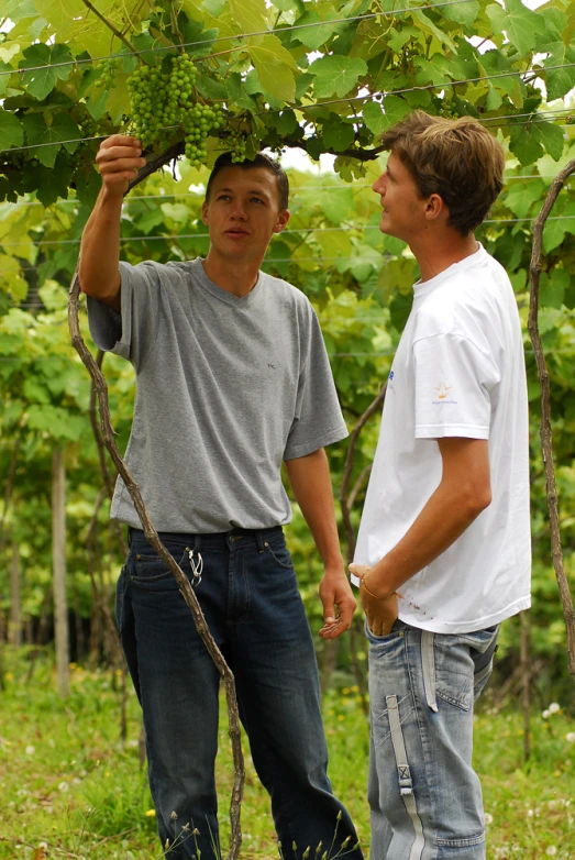 two young men standing under a large tree together