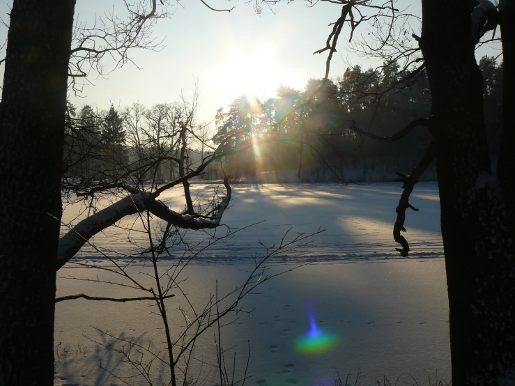 a snow covered field with trees and some very bright sunshine