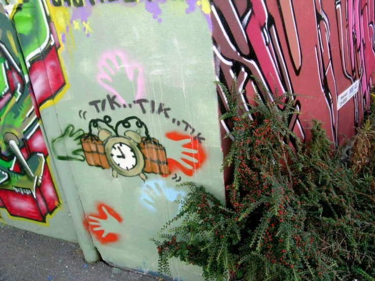 a corner with lots of grafitti, and a plant next to it