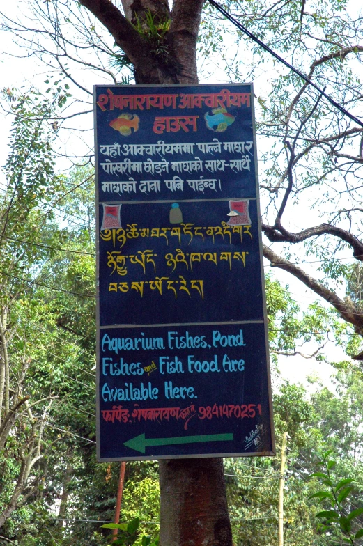 an information sign in a forest during the day