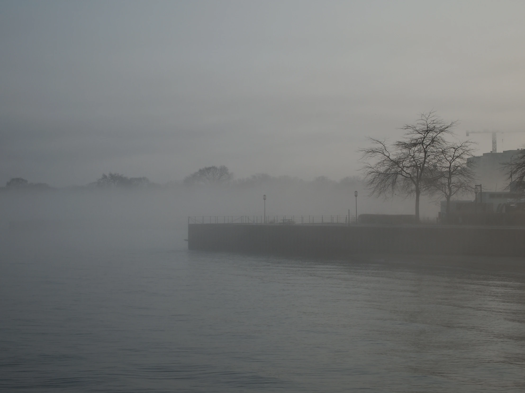 fog covered water with trees on the shore and buildings in the background