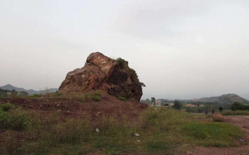 a small stone near some grass and dirt