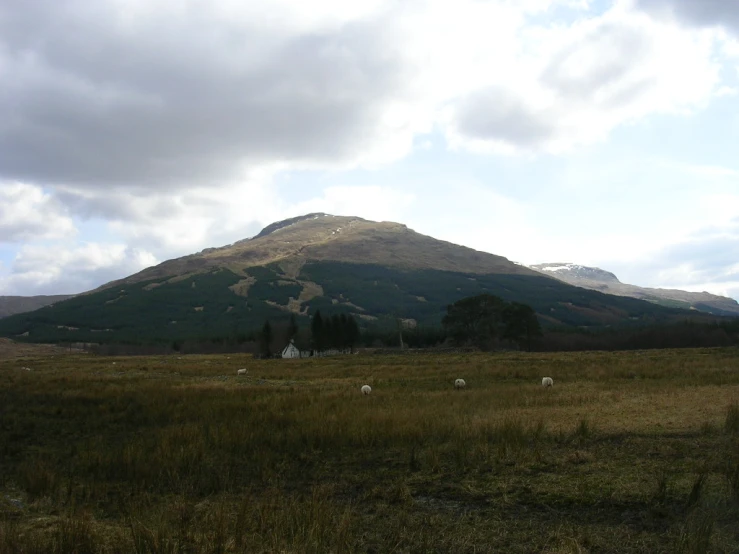 a green mountain is in the distance with sheep grazing in the foreground