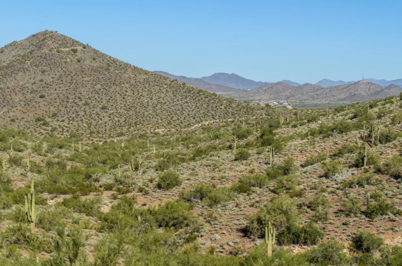 a lush green hillside next to mountains covered in trees