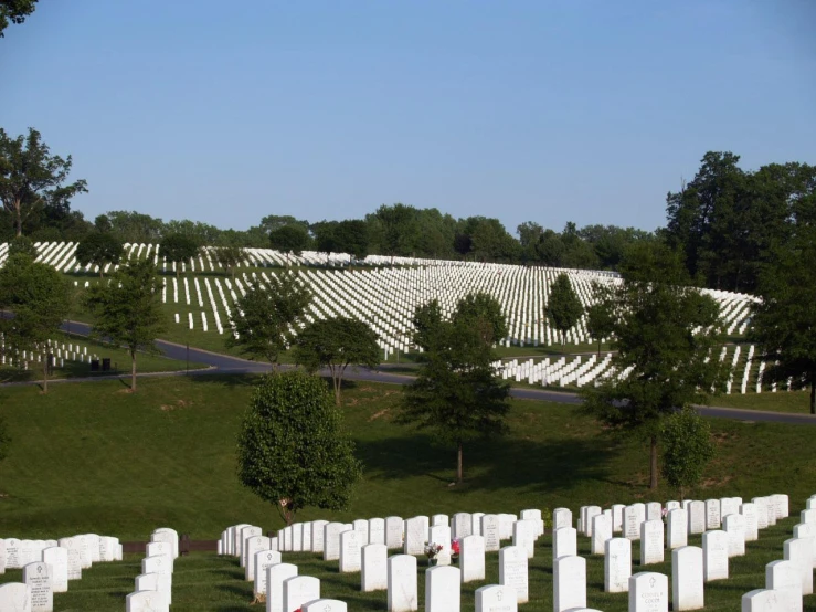 the cemetery is full of lots of tombstones and trees