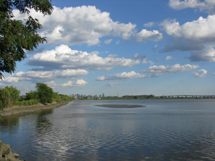 the water near the shore has calm, peaceful atmosphere