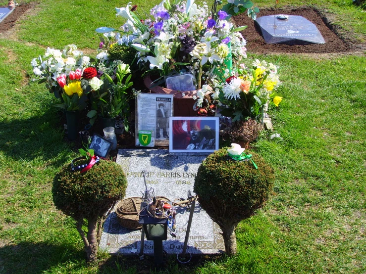 an outdoor cemetery garden with flowers in the background