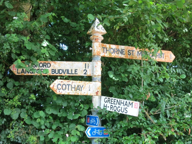 a pole with many street signs and trees